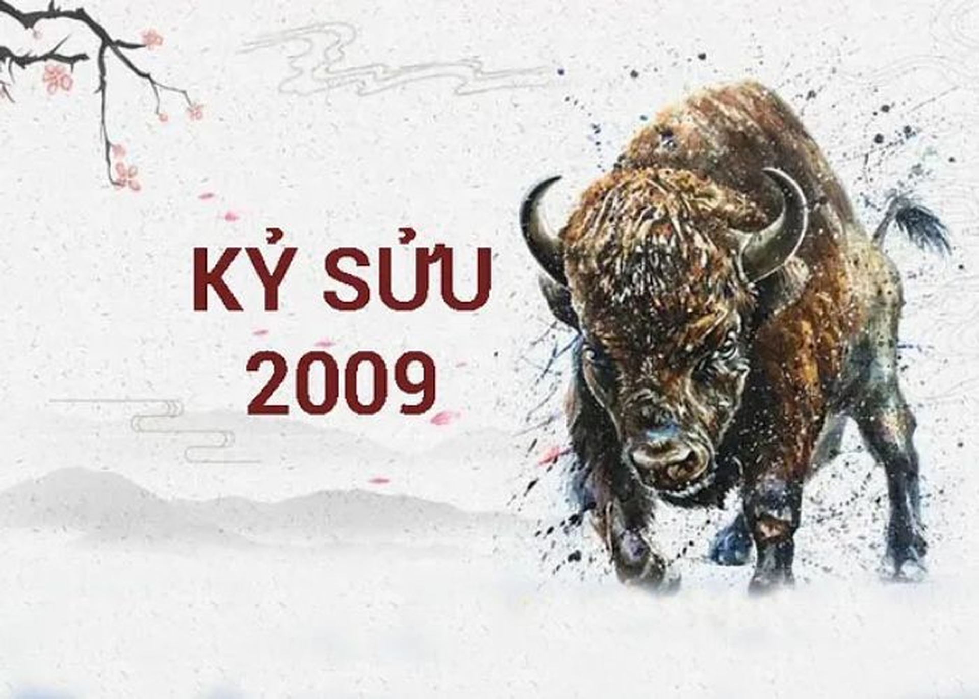 2009 tuổi gì? Những người sinh năm 2009 nên chú ý điều gì?